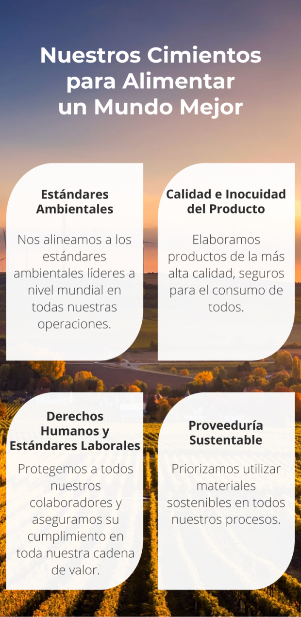 Nuestras Bases